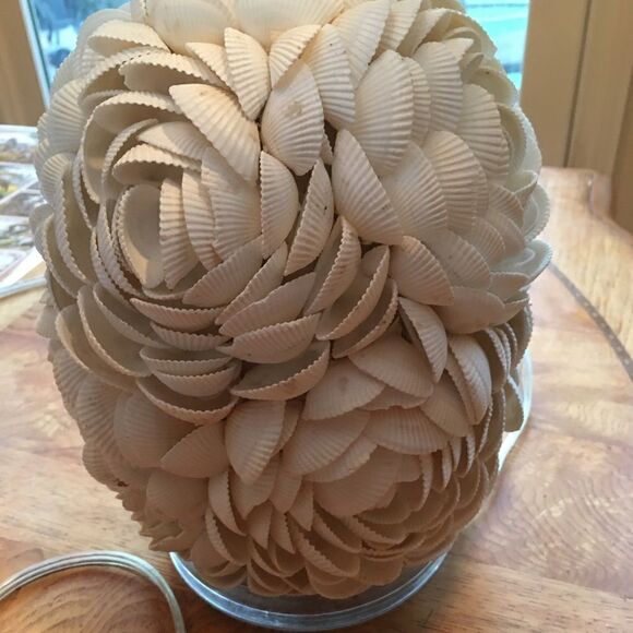 GORGEOUS SHELL Rosette Lamp! - Picture 3 of 7